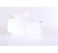 NISSENS 996157 Expansion Tank, coolant for OPEL,VAUXHALL