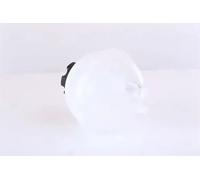 Nissens Coolant Expansion Tank 996262 for eg. BMW 1 SERIES F20 (2011) 118I 1.6