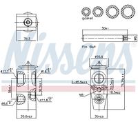 EXPANSION VALVE, AIR CONDITIONING FOR FORD C-MAX ESCAPE FOCUS NISSENS 999448