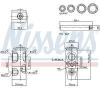Expansion Valve, air conditioning for FORD NISSENS 999448