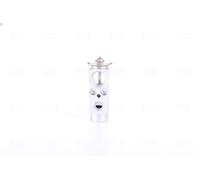 NISSENS Aircon Expansion Valve 999321 for MERCEDES-BENZ ACTROS-SERIES (2003) ACT