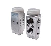 Expansion Valve CN077G 976262E100 8UW351239551