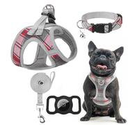 EXPAWLORER Classic Plaid Puppy Harness - Small Dog Collar and Lead Set with AirTag Holder - Soft Adjustable Step in Pet Vest Harness No Pull, Reflective Escape Proof for Outdoor Walking, Grey XS
