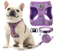 EXPAWLORER Classic Plaid Small Dog Harness - Dog Collar and Lead Set with AirTag Holder - Soft Adjustable Step in Pet Vest Harness No Pull, Reflective Escape Proof for Outdoor Walking, Purple M
