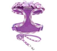 EXPAWLORER Cute Dog Harness and Leash Set - Purple Girl Dog Harness Checkered Step-in Design, Easy Adjustable No-Choke Lightweight Breathable Vest for Puppy Small Dogs Cats Outdoor Walking, Small