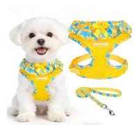 EXPAWLORER Cute Dog Harness Collar Leash Set - Blue Girl Dog Harness Checkered Step-in Design, Adjustable No-Choke Lightweight Mesh Vest for Cats Puppy Small Dogs, Daffodil M