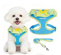 EXPAWLORER Cute Dog Harness Collar Leash Set - Blue Girl Dog Harness Checkered Step-in Design, Adjustable No-Choke Lightweight Mesh Vest for Cats Puppy Small Dogs, Lemon S