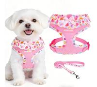 EXPAWLORER Cute Dog Harness Collar Leash Set - Pink Girl Dog Harness Checkered Step-in Design, Adjustable No-Choke Lightweight Mesh Vest for Cats Puppy Small Dogs, Flower M