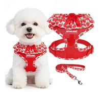 EXPAWLORER Cute Dog Harness Collar Leash Set - Red Girl Dog Harness Checkered Step-in Design, Adjustable No-Choke Lightweight Mesh Vest for Cats Puppy Small Dogs, Strawberry XS