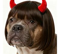 EXPAWLORER Funny Doggie Wig, 2 Pack Cosplay Dog Costume with Devil Hair Clip, Adjustable Headwear Dress Up Holiday Apparel for Party for Small Medium Large Dogs Puppies Cats(Brown Straight)