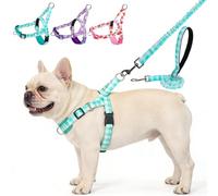 EXPAWLORER No Pull Small Dog Harness and Leash Set, Adjustable Soft Breathable Mesh Puppy Vest with Padded, Quick Fit Escape Proof Walking Harness Easy Control Handle for Small Medium Dogs Green