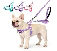 EXPAWLORER No Pull Small Dog Harness and Leash Set, Adjustable Soft Breathable Mesh Puppy Vest with Padded, Quick Fit Escape Proof Walking Harness with Easy Control Handle for Small Medium Dogs Purple