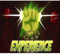 Experience (2016) Steam CD Key