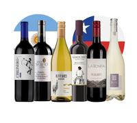Experience South American Wine Case of 6 Red and White Wines from Chile and Argentina 70cl 11% abv
