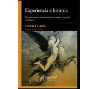 Experiencia e historia: Perspectivas fenomenológicas sobre el tiempo histórico