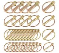 Expert 50 Part Execute Pin Package Impermeable Clamps for Truck and Grasscutter Divisions Strong Execute Pin Assortment Set