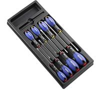 Expert by Facom 8 Piece Screwdriver Set in Module Tray