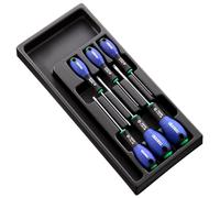 Expert by Facom E194941 6 Piece Torx T10-T40 Screwdriver Module