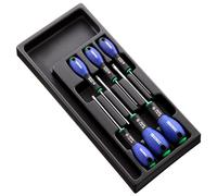 Expert by Facom E194941B - 6 Piece ResisTorx Screwdriver Module