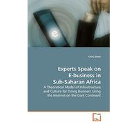 Experts Speak on E-business in Sub-Saharan Africa: A Theoretical Model of Infrastructure and Culture for Doing Business Using the Internet on the Dark Continent