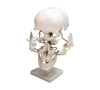 Exploding Skull Model - 16 Parts - Life Size - Mounted on Movable Stand