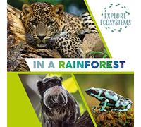 Explore Ecosystems: In a Rainforest