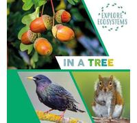 Explore Ecosystems: In a Tree Book Sarah Ridley Multi One Size
