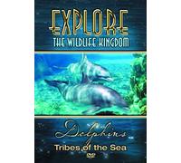Explore the Wildlife Kingdom Series: Dolphins [DVD] [Region 1] [US Import] [NTSC]