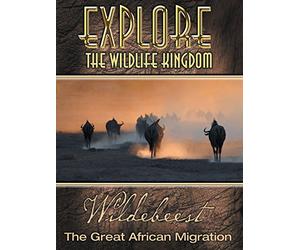 Explore The Wildlife Kingdom: Wildebeest - The Great African Migration