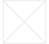 EXPLORER V BACKPACK GREEN