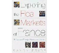 Exploring the Flea Markets of France