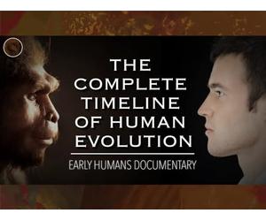 Exploring The Origins Of Humanity: A Complete Timeline of Human Evolution