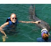 Exploring the U.S. Virgin Islands