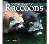 Exploring the World of Raccoons