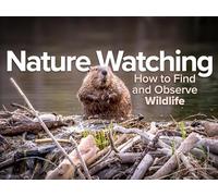 Exploring the World of Winter Wildlife