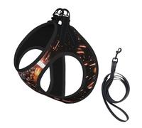 Explosion Firework 3d Print Dog Harness Reflective Pet Vest Harness Puppy Harnesses Leash Set,For Walking Training