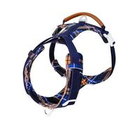 Explosion-proof dog harness four-way adjustable A-shaped buckle 150cm traction large dog harness(S)