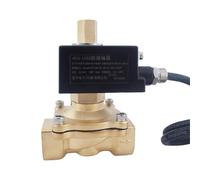 Explosion Proof Solenoid Valve Brass Normally Open 1 Inch 1-1/4" 2 Way Coal Mine Dust Natural Gas NO Solenoid Valve(1-1/4",DC24V)