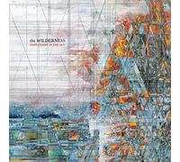 Explosions in the Sky - The Wilderness [VINYL]