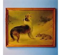 Explosions in the Sky - The Rescue [VINYL]