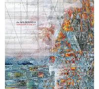 Explosions in the Sky - The Wilderness [VINYL]