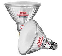 Explux 250 Watt Equivalent PAR38 LED Flood Light Bulbs, Super Bright 3300 Lumens, Dimmable, Full-Glass Outdoor Waterproof & Anti-Ageing, 5000K Daylight Spotlight, 2-Pack