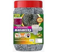 Export Quatity Mahabeera 250G - Bottle Pack - Vana Tulasi - Pignuts Seeds - Edible Tulsi Seeds Carya Glabra - Talmakhana - Pure, Natural & Healthy, Weight loss, Hair Growth (Pack Of 2)