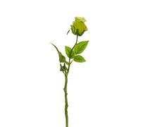 Express Flor 4 Artificial Silk Closed Roses, 42 cm, Green