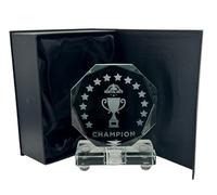 Express Medals Crystal Martial Arts Trophy Award, 6 Inch, Octagon Shape, Champion Design with Black Gift Presentation Box Tournament Winner Trophies Karate Judo