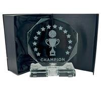 Express Medals Crystal Volleyball Trophy Award, 6 Inch, Octagon Shape, Champion Design with Black Gift Presentation Box Tournament Winner Trophies
