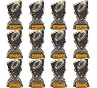 Express Medals Pack of 12 Engraved Football Trophies, 6.5 Inch, Black Graphite with Gold Trim, Solid Heavy Sports Award Trophies Plaque Champion Trophy Personalized Plate Attached