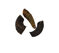 Express Pet Supplies 1kg (10-15 Pieces) Lamb Horn Half Cut 12cm Pieces | 100% Natural Air Dried Dog Treat | Long Lasting Large Dogs
