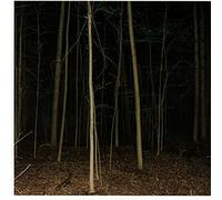 Express Rising - Fixed Rope II