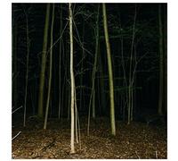 Express Rising - Fixed Rope Ii [New Vinyl LP]